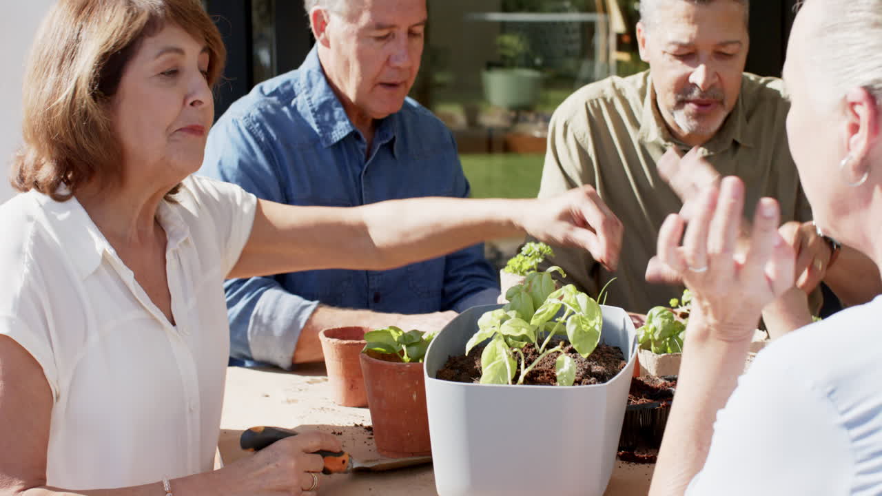 Planting seedlings in pots, senior friends gardening together outdoors