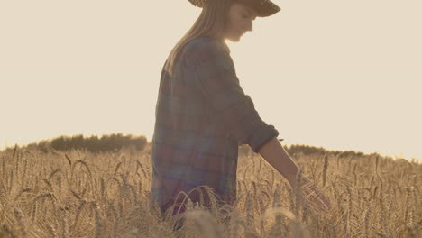 joven agricultora en el campo de trigo en el fondo del atardecer. una niña recoge espigas de trigo y luego usa una tableta. el agricultor se está preparando para la cosecha