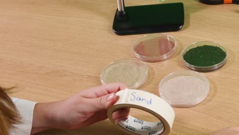 examen y etiquetado de muestras de suelo en placas de petri