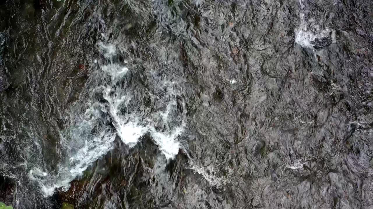 DRONE: TOP-DOWN VIEW OF CUPATITZIO RIVER IN URUAPAN