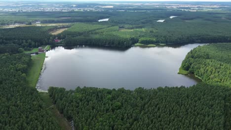 Lago-En-Bosque-Verde-Bosque-Europeo-Línea-Eléctrica-Circulación-Aérea