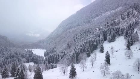 Aerial-view-over-a-valley-with-a-lot-of-snows,-trees-and-forest-in-Switzerland-while-winter