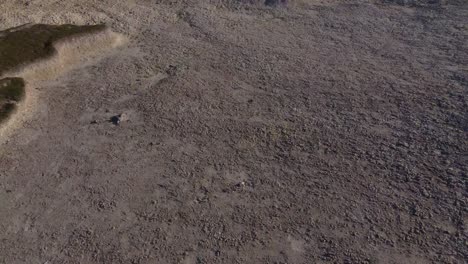 drone revela una toma de acantilados blancos en la costa sur de inglaterra