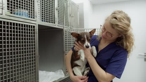 Female-veterinary-doctor-holding-small-dog-by-cages.