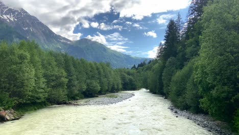 arve river flowing through the forest in les bossons in chamonix, france