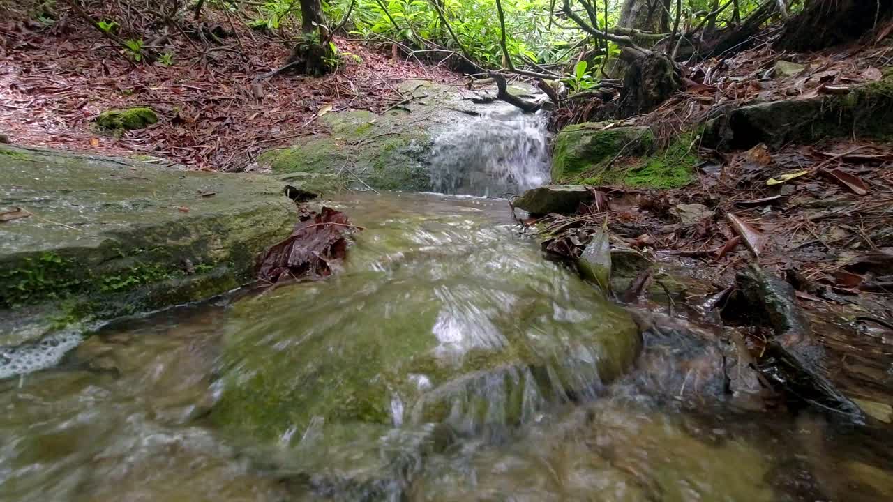 small stream flowing from hillside in the blue ridge mountains, appalachian mountains in appalachia near linvillle falls nc, north carolina