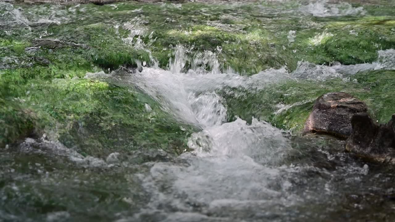 водопад с голубыми водорослями течет в потоке.