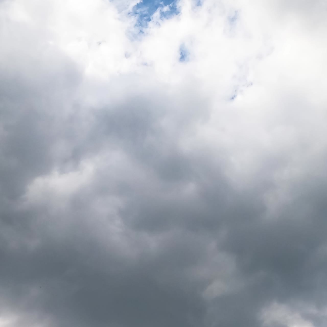 Dramatic grey cloudscape covering the sky. Stormy clouds accumulation from low angle view. Timelapse