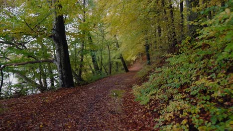 Pov-Caminando-Por-El-Lago-Gyllebo-En-Un-Camino-Estrecho-Con-Charcos-Y-árboles-En-Otoño,-Österlen-Suecia---Toma-Amplia-Que-Sigue-Hacia-Adelante-Y-Hacia-La-Derecha