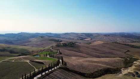 Wunderschöner-Flug-Von-Oben-Aus-Der-Luft,-Toskana,-Zypressenallee,-Ländliche-Gasse,-Italien