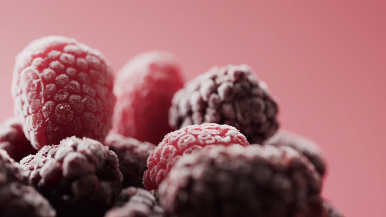 빨간 배경에 복사 공간과 함께 라즈베리의 클로즈업의 마이크로 비디오