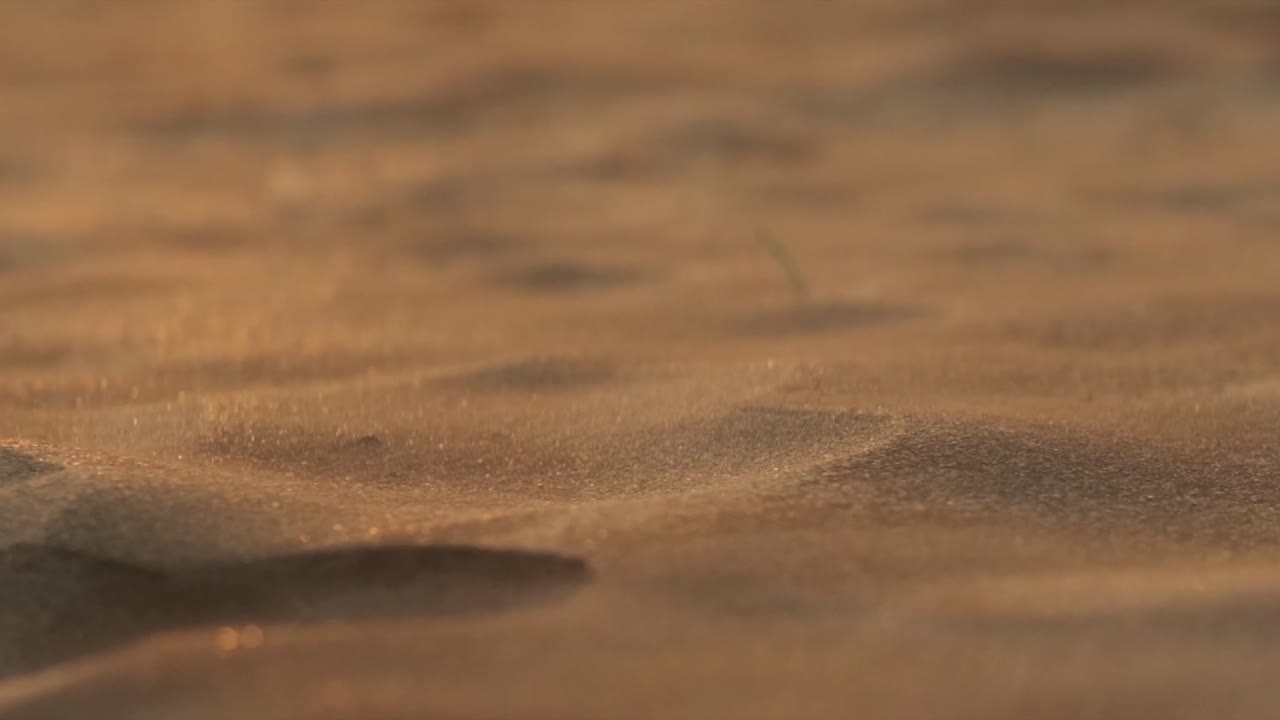 작은 모래 입자가 느린 동작으로 소형 모래 언덕 위로 날아갑니다.