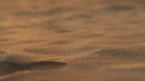 small sand particles blowing over miniature dunes in slow motion