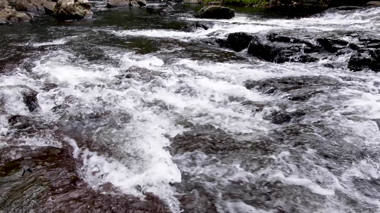 Presso la popolare attrazione turistica delle Cascate Kepirohi, nella remota isola tropicale di Pohnpei, Stati Federati di Micronesia