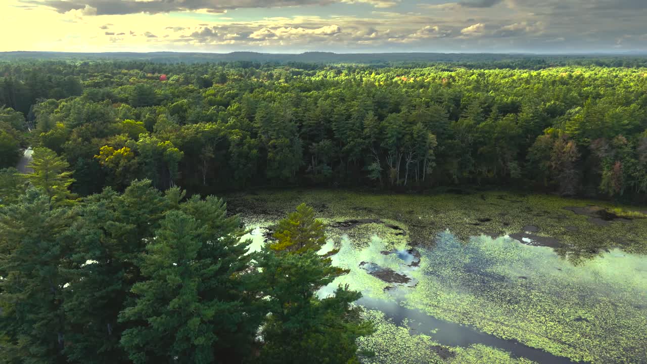 Low-Altitude Aerial Sweep Over Pine Trees and Pow Wow Pond Towards Kingston Lake, New Hampshire