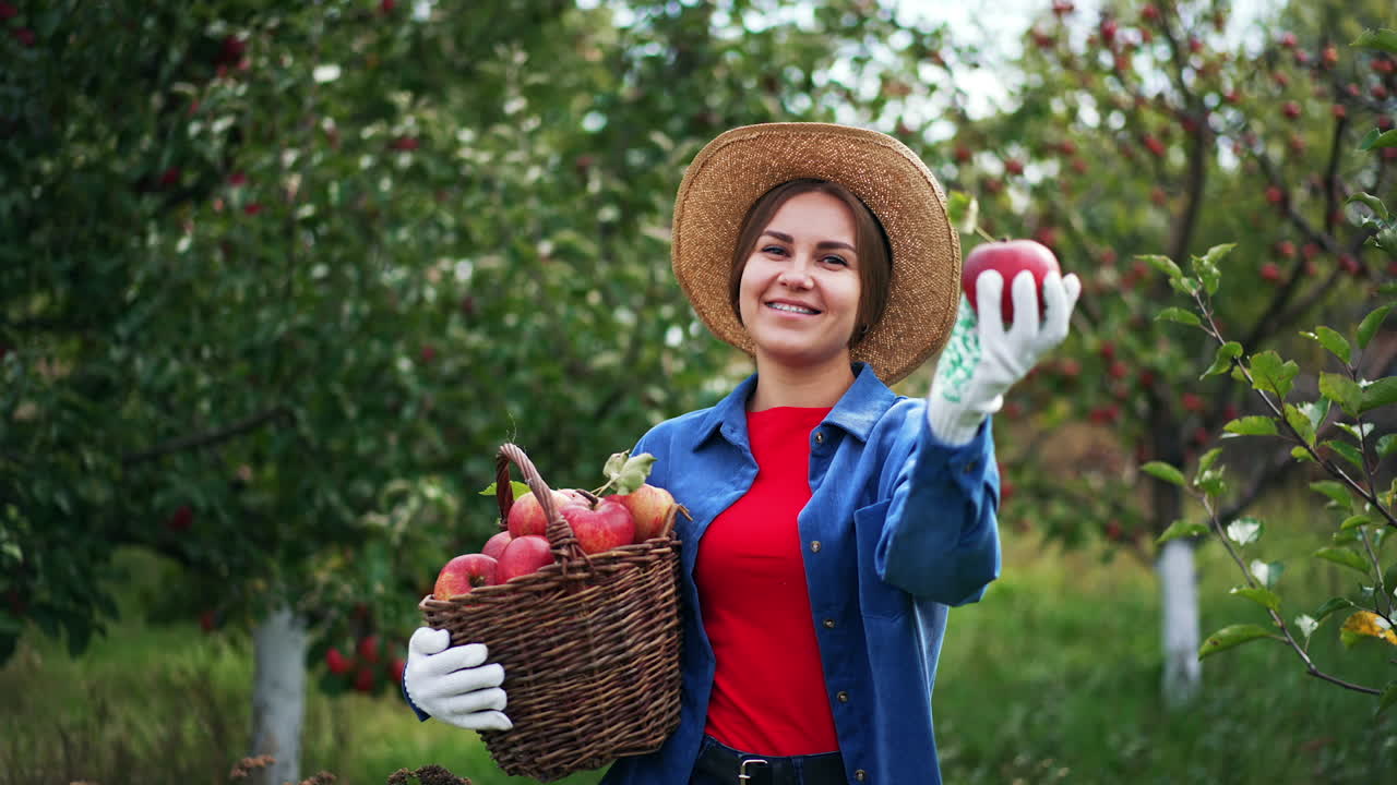 Happy female farmer holding a basket of ripe apples. Smiling lady offering a red fruit to the camera. Garden in blur at backdrop.