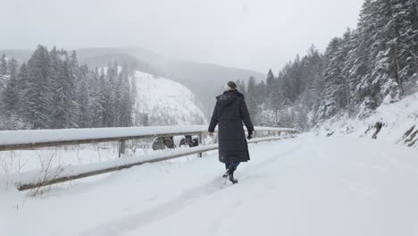 person walking to snowy path along the wooden fence in winter