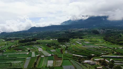 Picturesque-rice-fields-in-Central-Java-by-Mount-Telomoyo-Indonesia