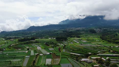 pintorescos campos de arroz en java central por el monte telomoyo indonesia