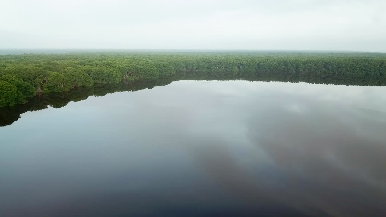 Rising drone shot flying over a tropical river and forest in South America