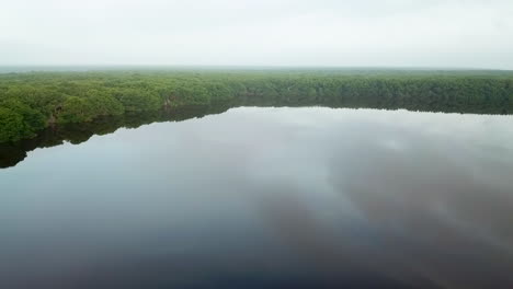 rising drone shot flying over a tropical river and forest in south america