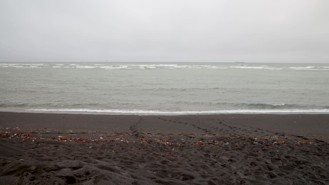 пляж из черного песка в исландии с карданом видео движущееся панорамирование вправо