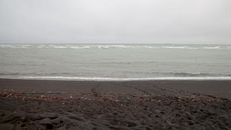 black sand beach in iceland with gimbal video moving panning right