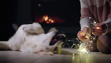 La-Dueña-De-La-Mascota-Se-Está-Preparando-Para-Decorar-Su-Casa-Con-Guirnaldas,-Su-Perro-Yace-Junto-A-Ella.-Una-Chimenea-Arde-En-El-Fondo---Nochebuena