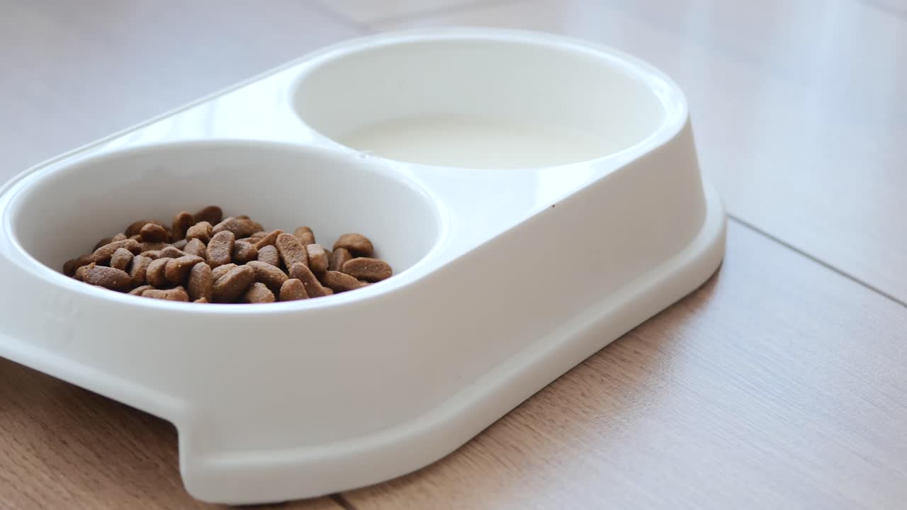 Pet food and water in a double bowl on a wooden floor
