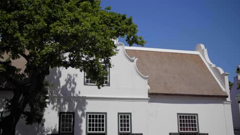 Traditional-white-Cape-Dutch-building,-leafy-oak-tree-covering-with-shadow,-medium,-panning,-Stellenbosch