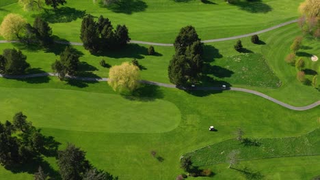 drone shot of golfers in golf carts seeking out where their golf balls landed