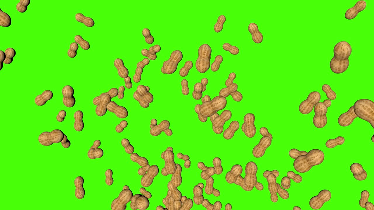 3D peanuts falling animation on green screen chroma key background