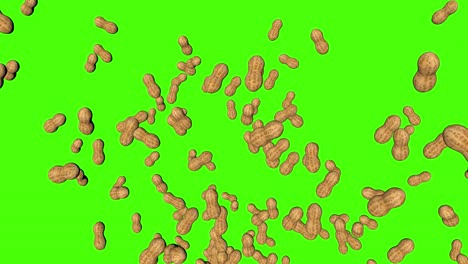 3d peanuts falling animation on green screen chroma key background