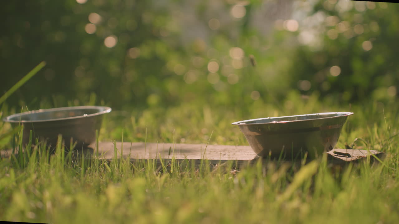 따뜻한 빛 아래 잔디에 있는 나무 위에 놓인 두 개의 금속 그, 곤충이 날아다니며 나무 위에 그늘을 던지는 모습, 배경에는 흐릿한 초록색이 있습니다.