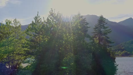 aerial - trees in lake doxa against strong sunlight