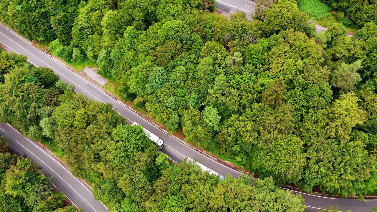Winding road through lush green forest. Aerial view of a winding road surrounded by dense green trees in a tranquil forest setting