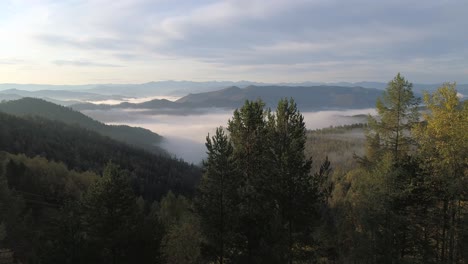 Flying-Near-Trees-in-a-Foggy-Mountain-Landscape