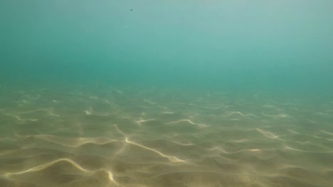 blue sea water sunny refractions on sandy bottom, underwater loop-ready background