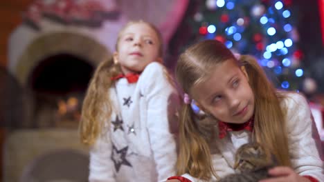 pretty little girls with a kitten indoors. children in the same christmas sweaters playing with a cat at home during new year holidays