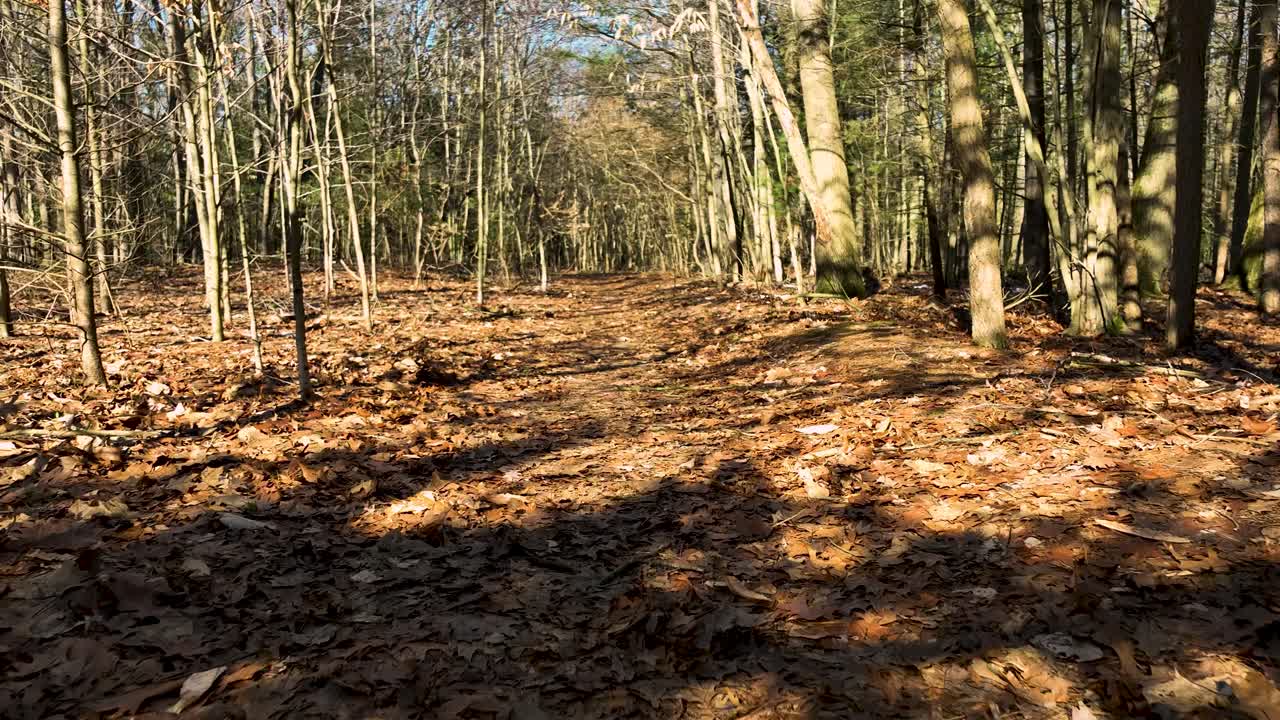 Wandelen vanuit het perspectief van de eerste persoon over het pad