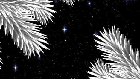 enmarcando el cielo estrellado de la noche, ramas de pino blanco balanceándose en la suave brisa