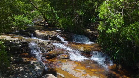 Springbrook-National-Park-Water-stream-to-waterfalls,-Gold-Coast,-Queensland,-Australia