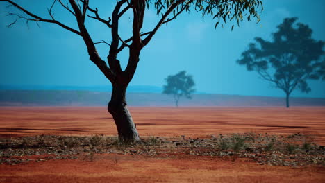 árbol de acacia en la sabana africana