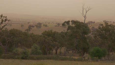 Staub-Und-Rauch,-Dunst,-Sturm,-Outback,-New-South-Wales,-Australien,-Dürre-Und-Bäume-Wehen,-Windiger-Tag,-Schwenk-Von-Links-Nach-Rechts