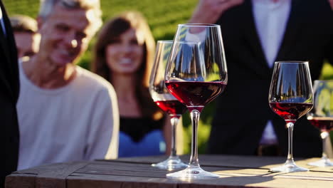 wine tasting experience at a vineyard