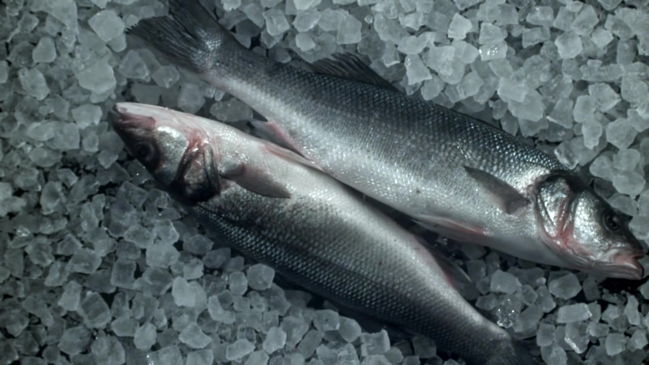 Close-up of Fresh Sea Bass on Crushed Ice
