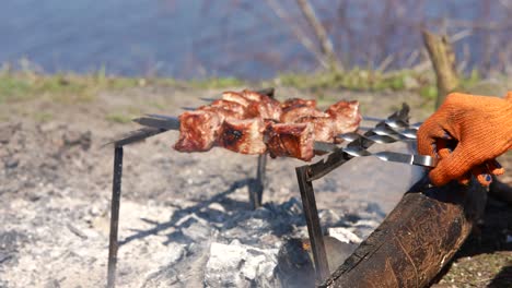 outdoor barbeque with shish kebab