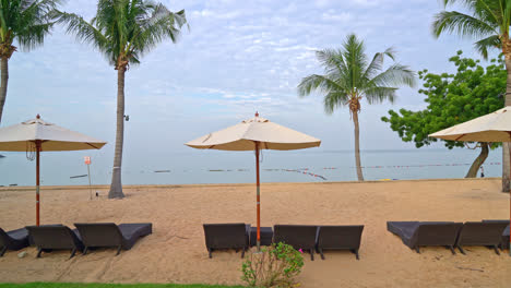 empty beach chair with palm tree on beach with sea background