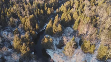 Toma-Aérea-Del-Hermoso-Paisaje-Del-Bosque-Boreal,-Cubierto-De-Nieve-Con-El-Río