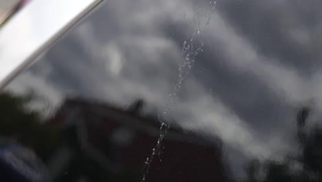 close up of damage left from bird droppings